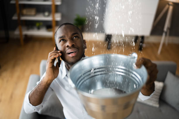 Best Water damage contractors near me  in Walnut Hill, TN