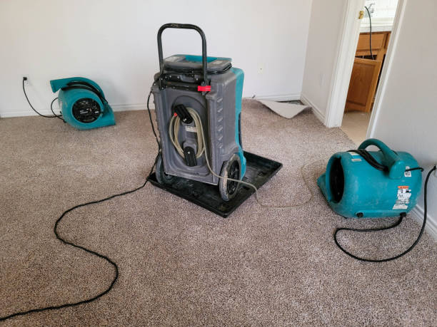 Best Flooded house restoration  in Walnut Hill, TN