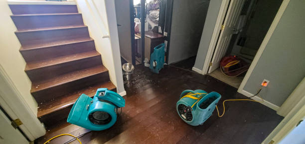 Best Carpet water damage restoration  in Walnut Hill, TN