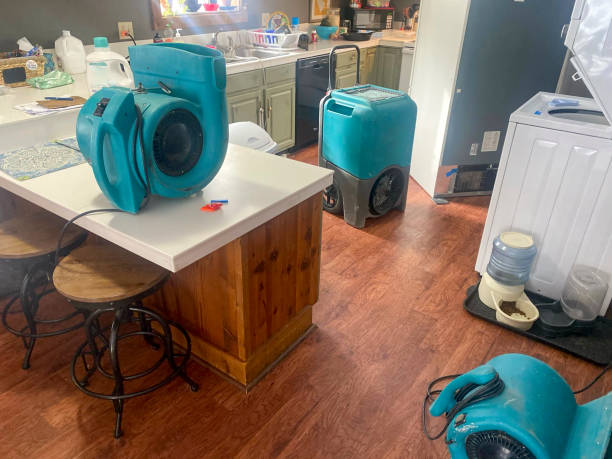  Walnut Hill, TN Water damage restoration Pros