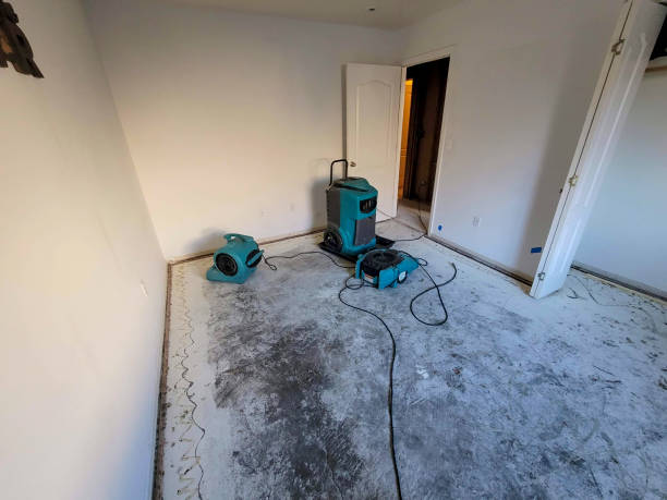 Best Commercial water damage restoration  in Walnut Hill, TN