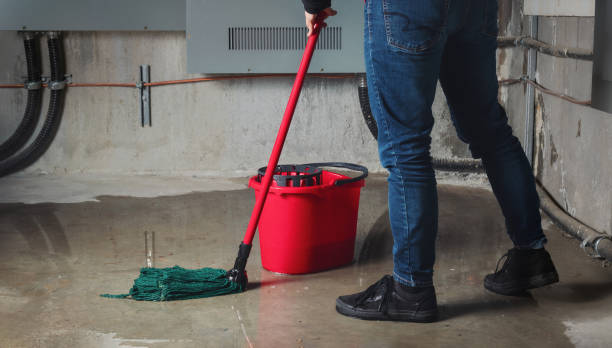 Best Carpet water damage restoration  in Walnut Hill, TN