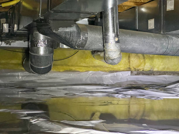 Best Sewage cleanup and water damage restoration  in Walnut Hill, TN