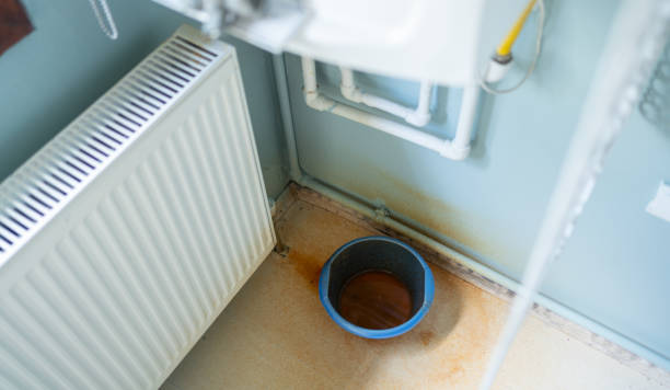 Best Fire Damage Restoration  in Walnut Hill, TN