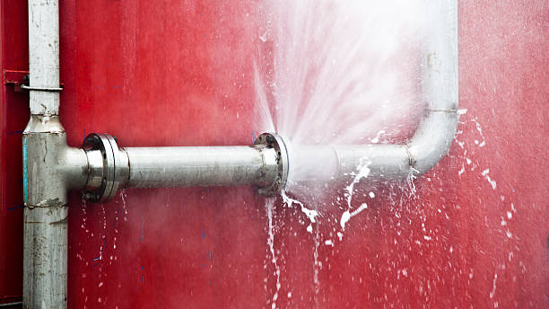 Best Flood damage cleanup  in Walnut Hill, TN