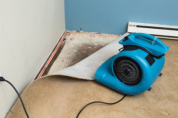 Best 24-hour water damage restoration  in Walnut Hill, TN