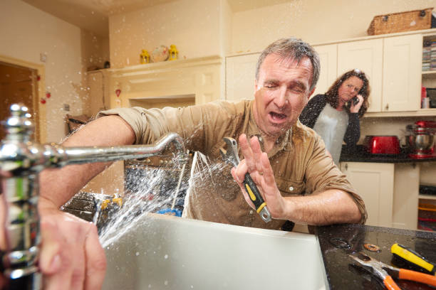 Best Flood damage cleanup  in Walnut Hill, TN